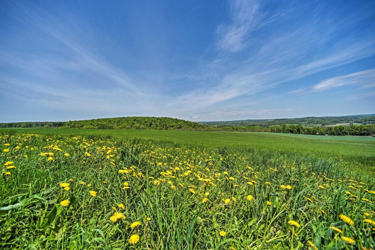 Country Escape With Sauna, 10 Mi To Cooperstown Richfield Springs Ngoại thất bức ảnh