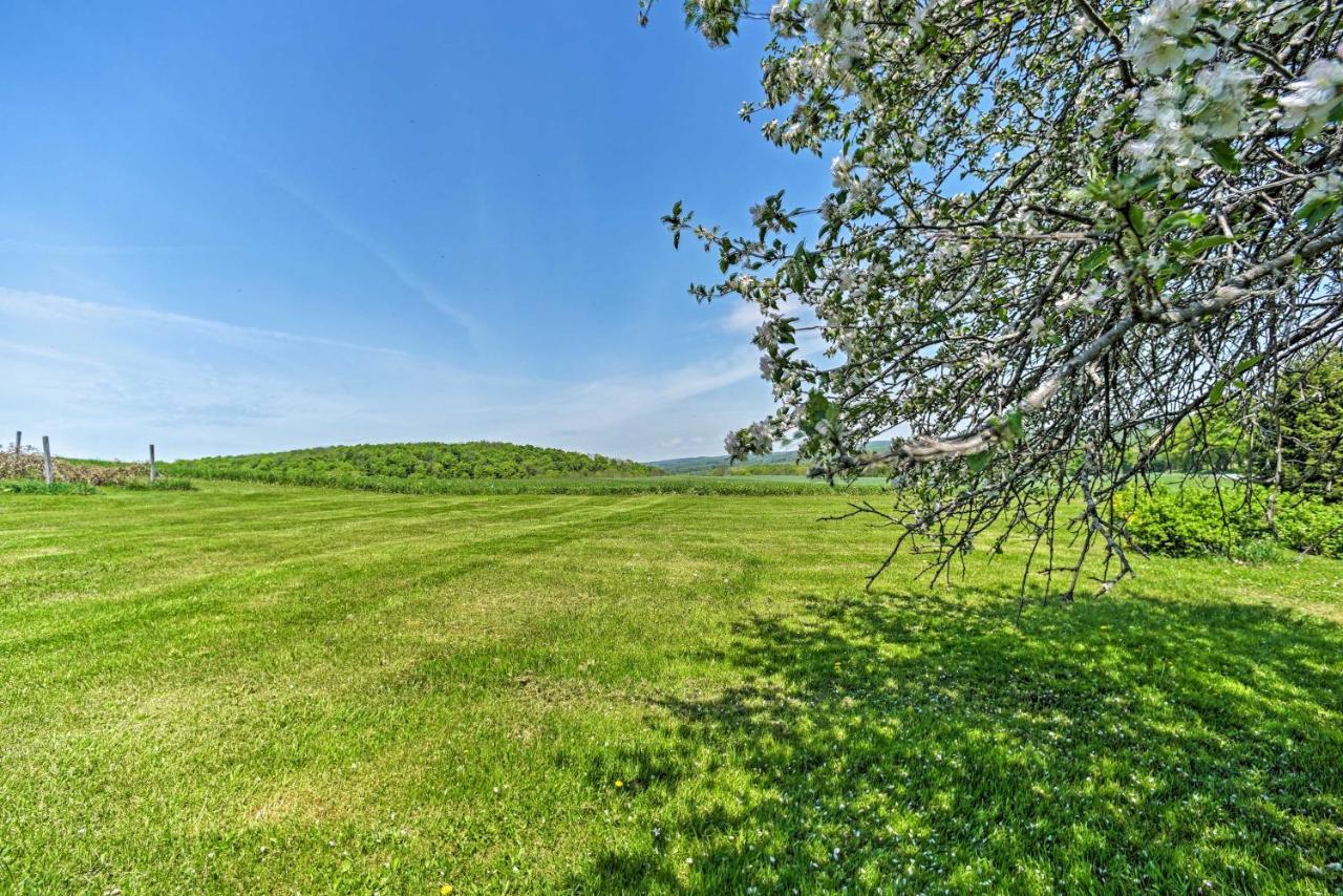 Country Escape With Sauna, 10 Mi To Cooperstown Richfield Springs Ngoại thất bức ảnh